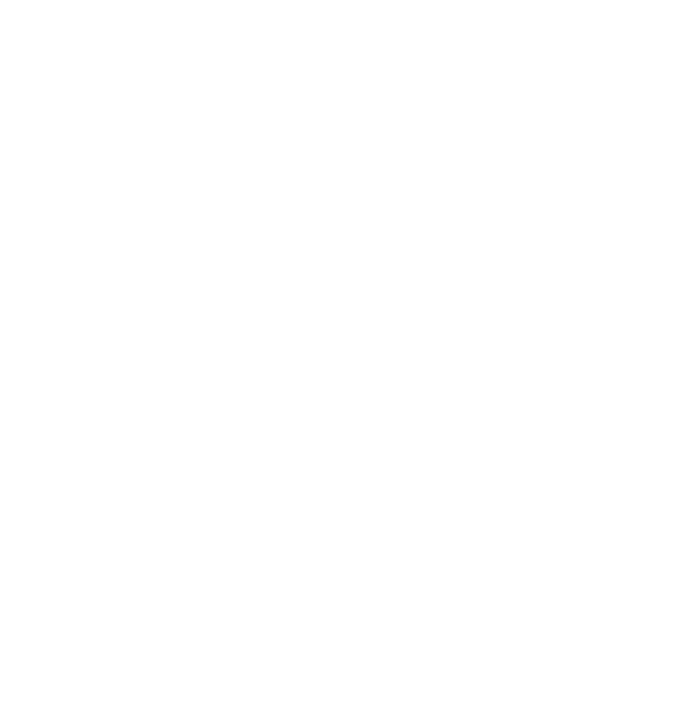 Eagle Eye International